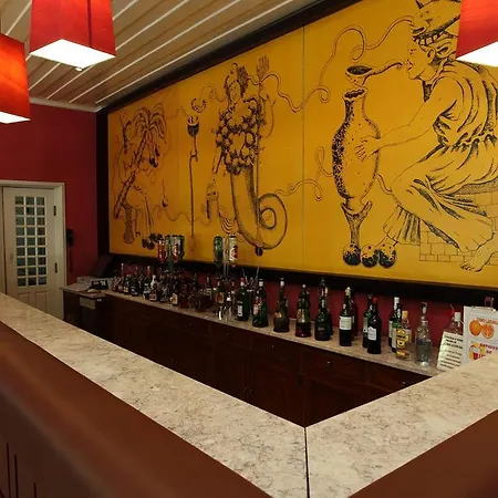 Inatel Palace S.pedro Do Sul Hotell