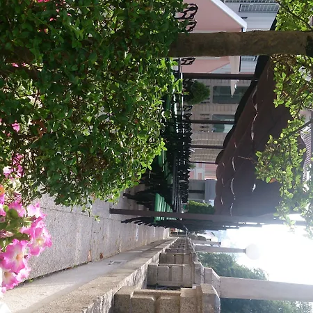 Hotel Inatel Palace Sao Pedro Do Sul 4*