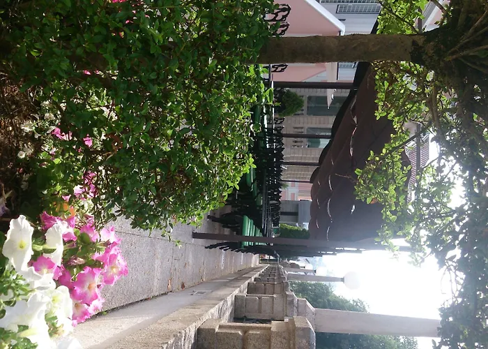 Отель Inatel Palace S.pedro Do Sul 4*